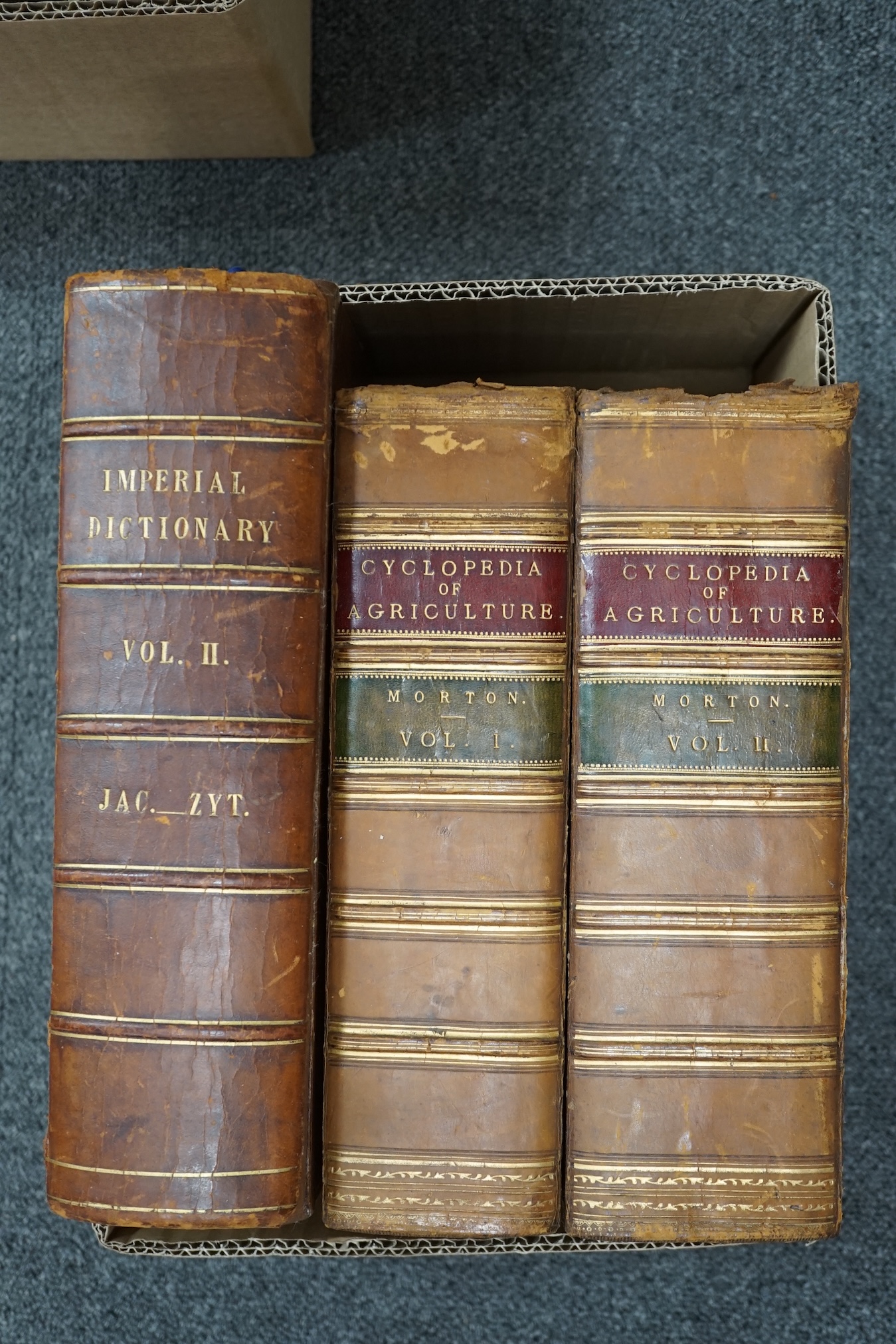 Bindings; Morton, John C. - Cyclopedia of Agriculture, 1863, 2 vols. Byron - Poetical Works, 1870. Spenser, E. -Works 1869. Imperial Dictionary 1850, vol II only. Goldsmith's Works 1854, 4vols, Godolphin School Prize. Di